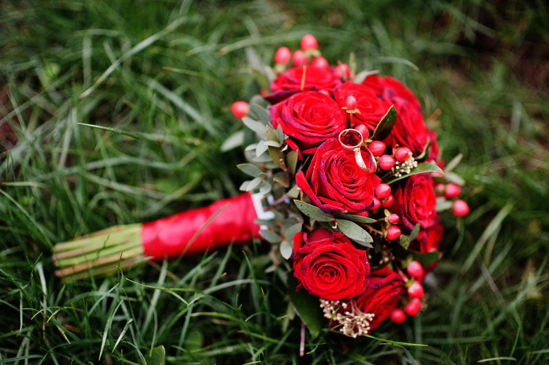 Hypericum - Everything you Need to Know