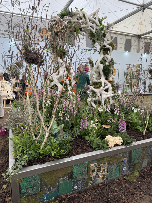 RHS Chelsea Flower Show 2026 - Photo Gallery