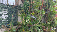 Preview: RHS Chelsea Flower Show 2026