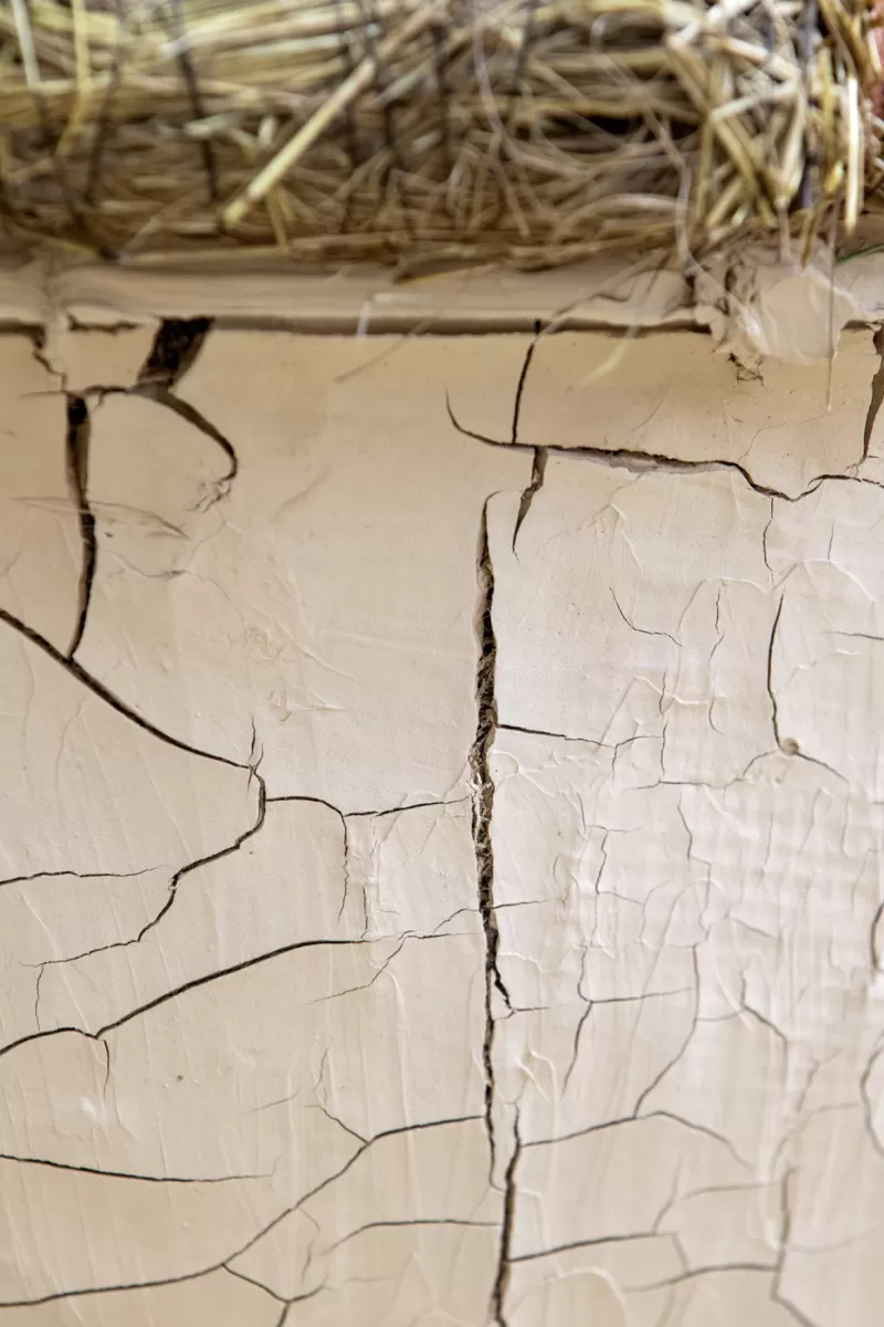 close up of desert trends arrangement pot