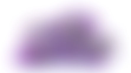 Aster - Everything you Need to Know