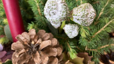 Watch Karen Barnes Bring a Christmas Planted Arrangement to Life