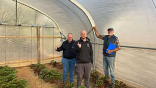 Flowers from afar: How FM Group Builds a Supply Chain that Works