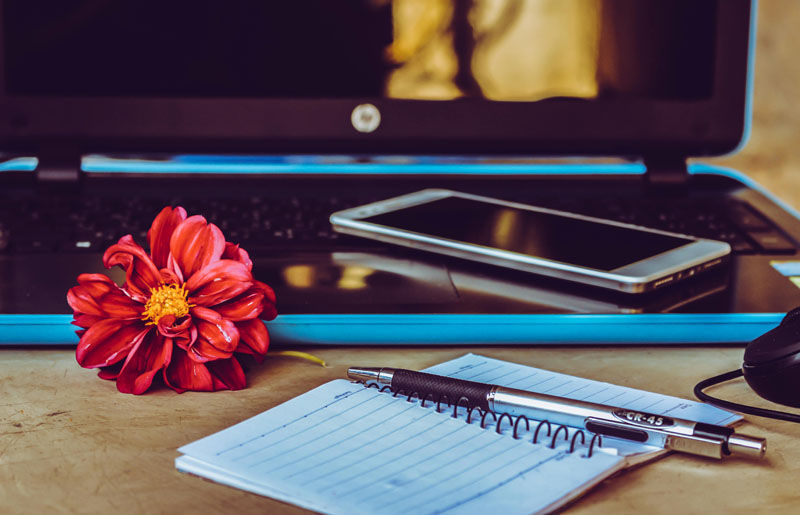 Ethical Banking for Small Businesses