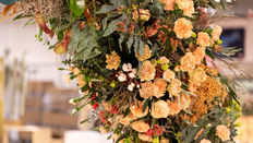 Create it with Dianthus, the Flower for all Occasions