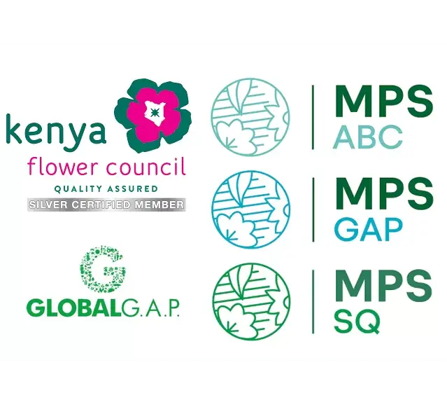 Marginpar: 100% FSI compliant