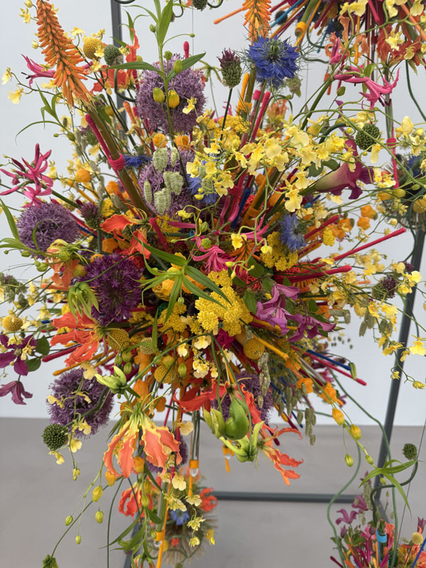 RHS Chelsea Flower Show 2026 - Photo Gallery