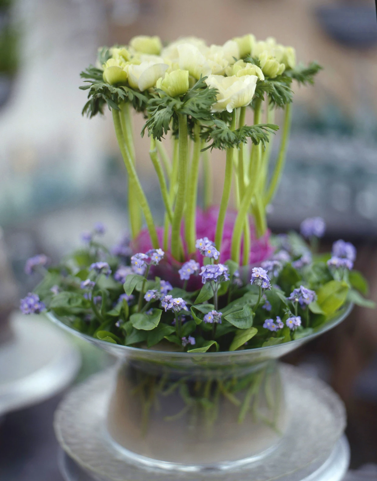 March Flowers Myosotis arrangement for spring