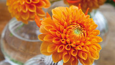 Get that Autumn Glow with Seasonal Favourites