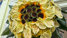 Belgravia in Bloom Photo Gallery 2025