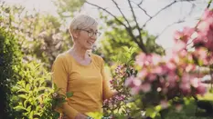 Can Flowers Help Your Mental and Physical Wellbeing Bloom?