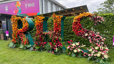 RHS Chelsea Flower Show 2025 - Floral Creations Review