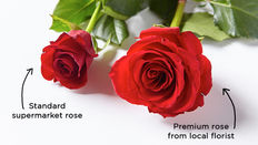 Why Florists are More Expensive than Supermarkets - Infographic to Download