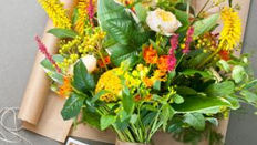 Understanding Flower Food and Dosing