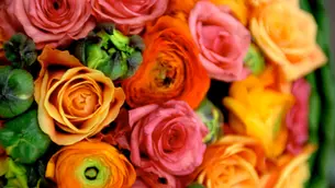 April Flowers: Seasonal Spring Blooms and Selling Opportunities for Florists