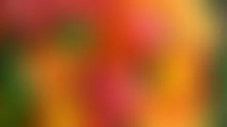 April Flowers: Seasonal Spring Blooms and Selling Opportunities for Florists