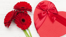 Rose Alternative for Valentine's - Gerbera