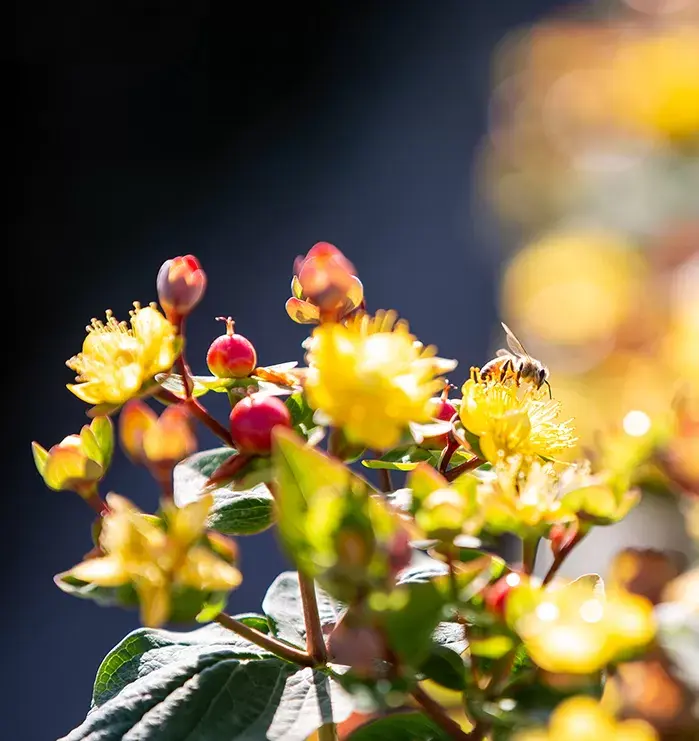 Sustainability FAQs with Marginpar