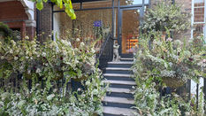 Chelsea in Bloom 2025 - Fashion in Flowers Winners
