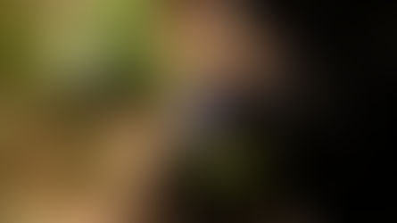 Comparison is the Thief of all Joy