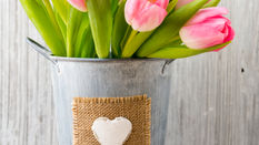 Rose Alternative for Valentine's - Tulip