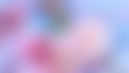 March Seasonal Foliage - Cherry Blossom