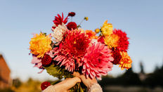 Promoting Autumn