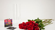Conditioning Roses for St. Valentine’s Day