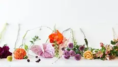 Are Imported Flowers so Bad?