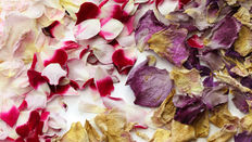 Eco friendly confetti