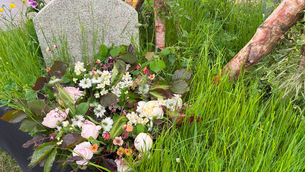Church of England Synod Introduces New Flower Guidelines for Churches
