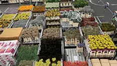 Why the Skill of Flower Buying is so Important