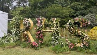 RHS Chelsea Flower Show 2026 - Photo Gallery