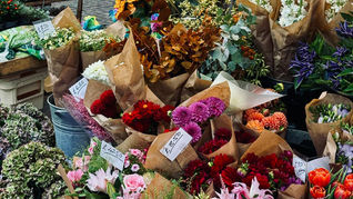 Tips for Buying Wholesale Flowers: Free Download for Florists
