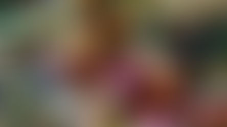 Tips for Buying Wholesale Flowers: Free Download for Florists