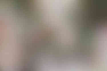 Anthurium held display