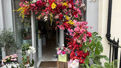 Belgravia in Bloom 2026 - Photo Gallery