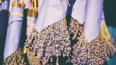 Summer Seasonal Flower: Lavender