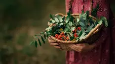 Foraging - Is it for you and Your Business?