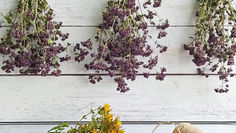 How to Dry Flowers – The Air Drying Method