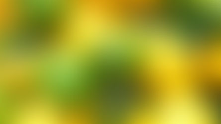 Seasonal Foliage - A Dash of Lemon and Lime