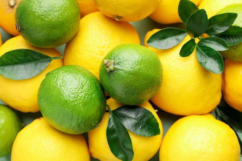 Seasonal Foliage - A Dash of Lemon and Lime