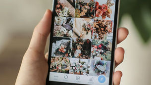 The Great Instagram Purge: The Reason Your Follower Count Dropped
