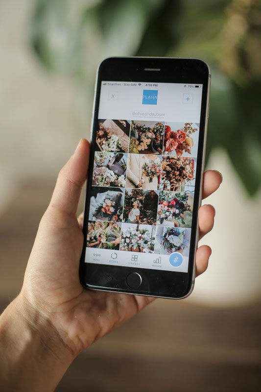 The Great Instagram Purge: The Reason Your Follower Count Dropped