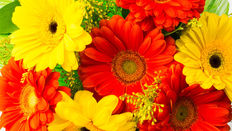 Blue Monday - Spread Some Happiness Using Colour Psychology
