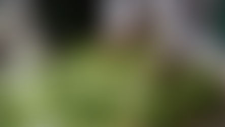 Statutory Sick Pay Update 