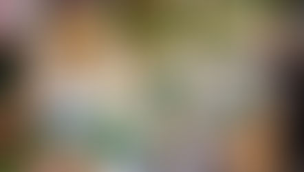 First Impressions That Sell: Transform Your Shop Atmosphere 