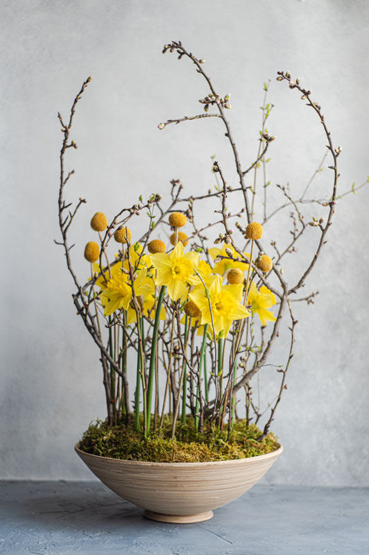 Cherry Blossom contemporary design