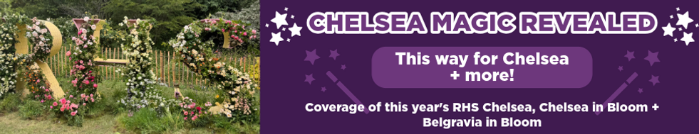 Chelsea Banner desktop with letters.png