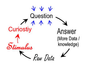 Raw Data Curiosity Question Answer Data loop Knowledge BEST BLUE ARROWS.jpg